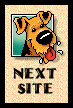 Next Airedale Ring Site
